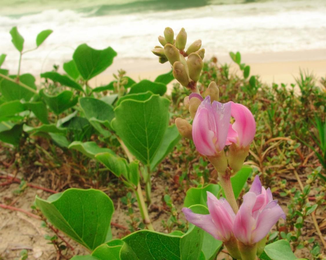 Recanto Do Encanto Florianópolis Esterno foto